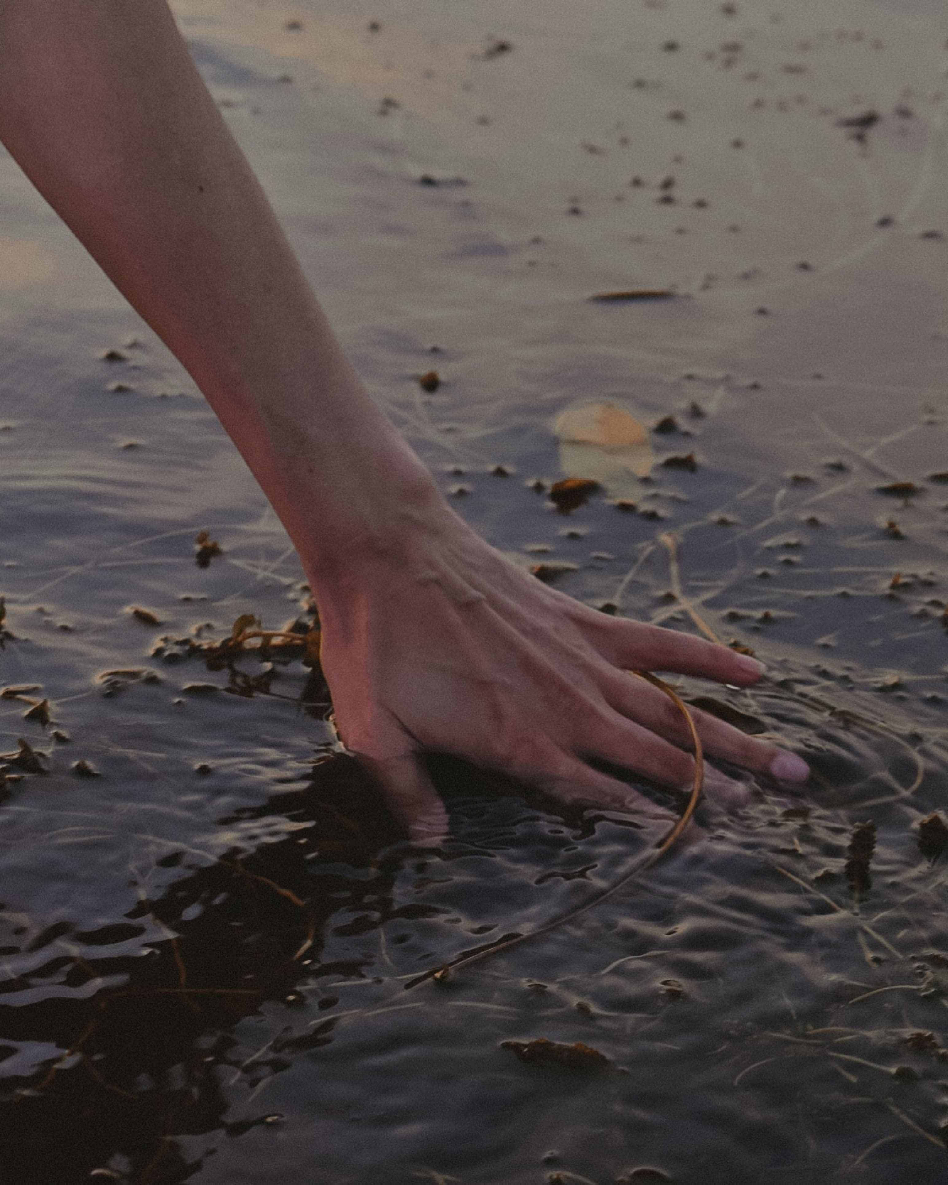 Eine Hand greift in flaches Wasser mit Blättern